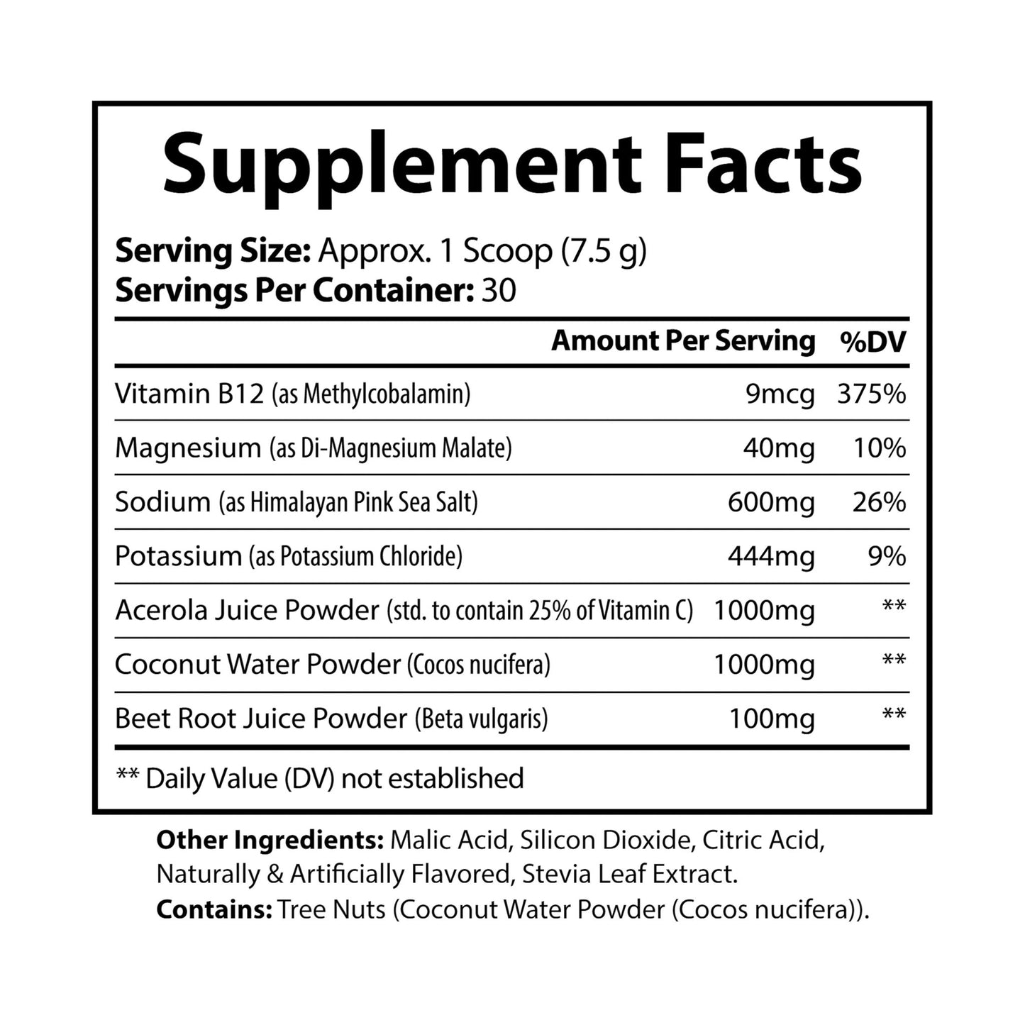 ZT ION + ELECTROLYTE SUPPLEMENT (BLUE RASPBERRY)