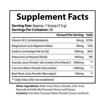 ZT ION + ELECTROLYTE SUPPLEMENT (BLUE RASPBERRY)