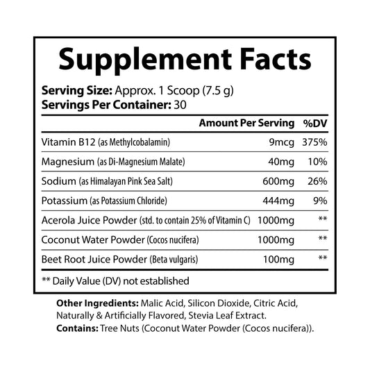 ZT ION + ELECTROLYTE SUPPLEMENT (BLUE RASPBERRY)